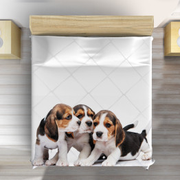 Přehoz přes postel - Beagles Babies