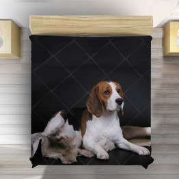 Přehoz na postel - Beagle