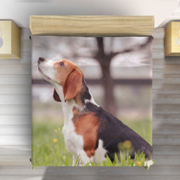 Luxusní přehoz na postel 3D -Beagle in the Wood
