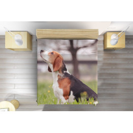 Luxusní přehoz na postel 3D -Beagle in the Wood