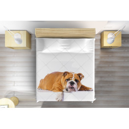 Luxusní přehoz na postel pejsci - British Bulldog