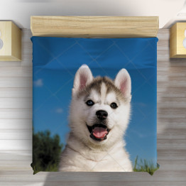 Přehoz na postel - Baby Husky