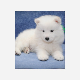 Teplá deka - Baby Samoyed