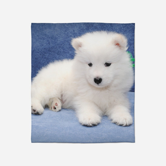 Teplá deka - Baby Samoyed