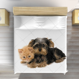 Přehoz přes postel - Yorkshiere Terrier and Cat
