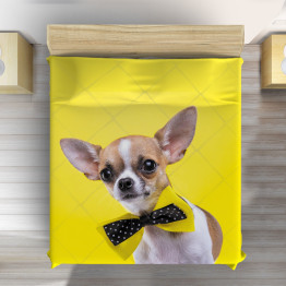 Luxusní přehoz na postel - Dog Chihuahua