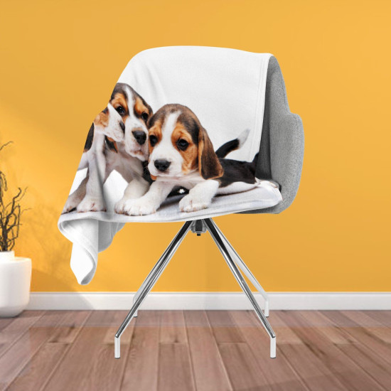 Luxusní deka - Baby Beagle