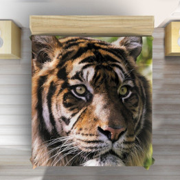 Přehoz na postel - Tiger