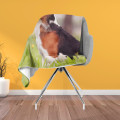 Luxusní deka 3D - Beagle in the Wood