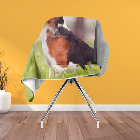 Luxusní deka 3D - Beagle in the Wood