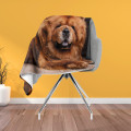 Hebká deka - Chow-Chow