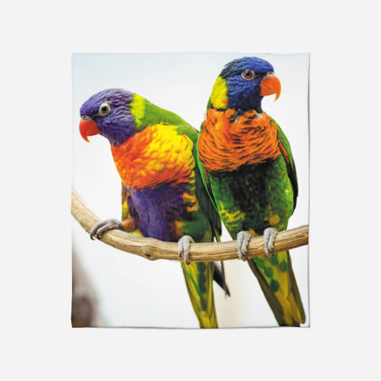 Deka - Colorful Parrots