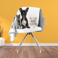 Kvalitni deka - Home Pets