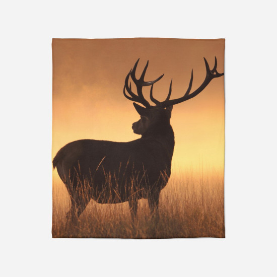 Kvalitni deka - Deer in the Desert