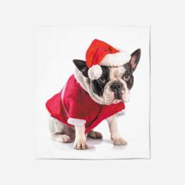 Hebká deka - Christmas French Bulldog