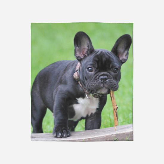 Měkká deka - French Bulldog Grass