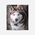 Fleecová deka - Husky Brown