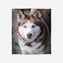 Fleecová deka - Husky Brown