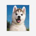 Deka - Baby Husky