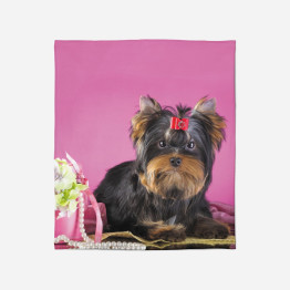 Luxusní deka - Yorkshiere Terrier Pink