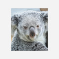 Hřejivá deka - Koala