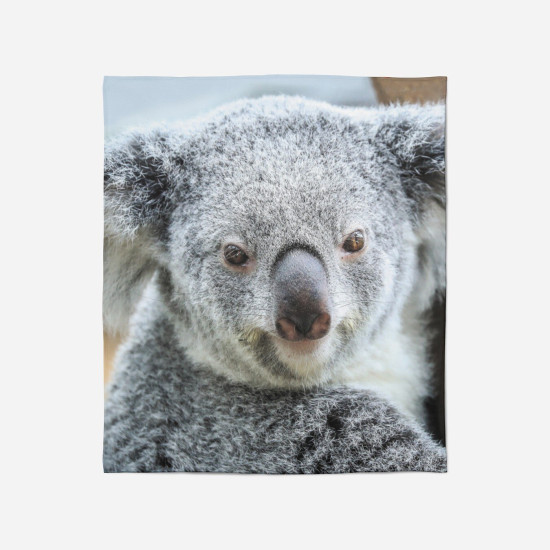 Hřejivá deka - Koala