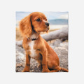 Deka na postel - Cocker Spaniel