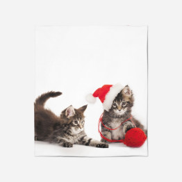 Hebká deka - Kittens with yarn