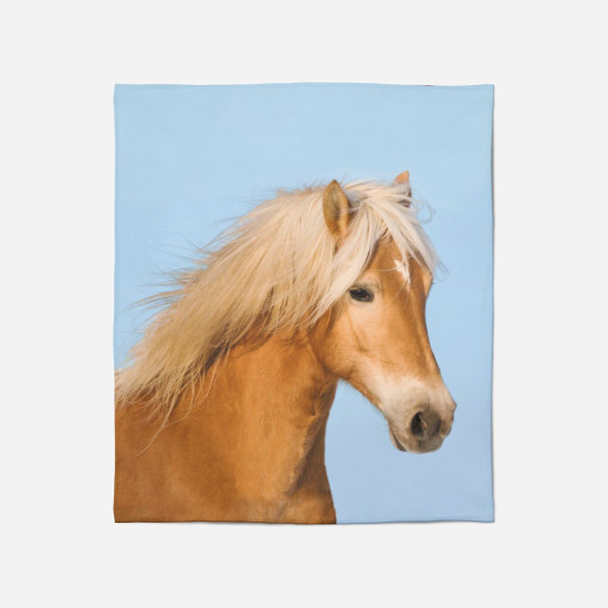 Deka na postel pro koně - Horse Blue