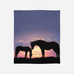 Hebká deka na koně - Horses