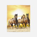 Kvalitni deka pro koně - Horses Sunset