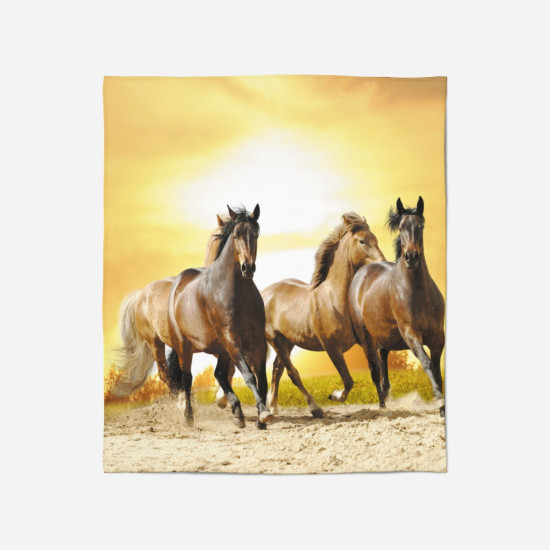 Kvalitni deka pro koně - Horses Sunset