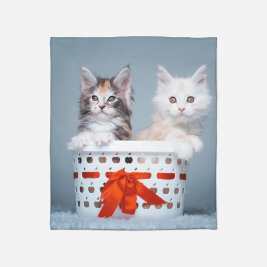 Teplá deka s kočkami - Cats in Basket