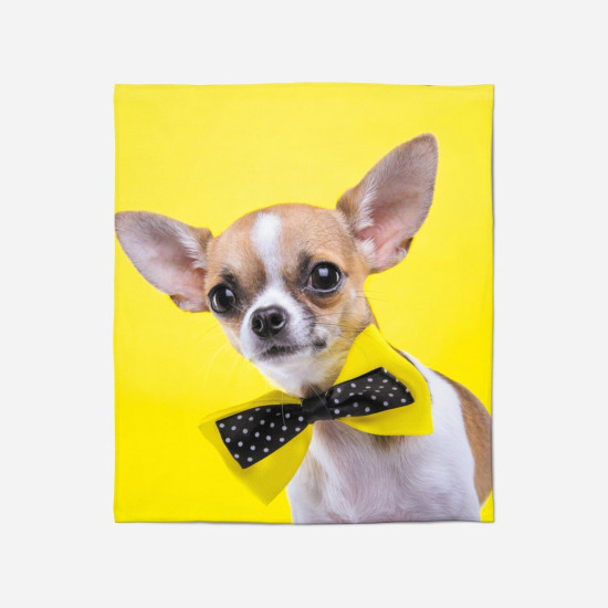 Měkká deka - Chihuahua dog