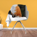 Hebká deka - Fox