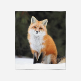 Hebká deka - Fox