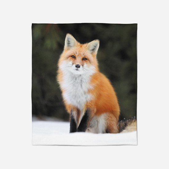Hebká deka - Fox