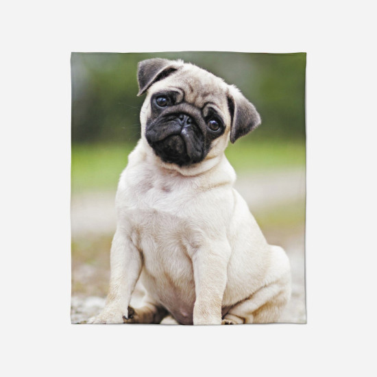 Deka na postel - Mops