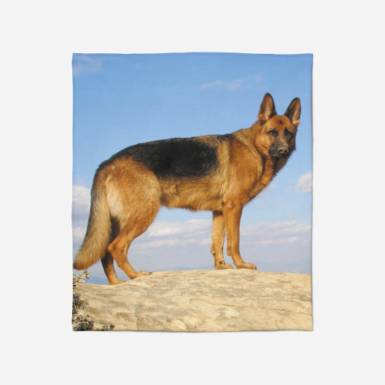 Měkká deka - German Shepherd