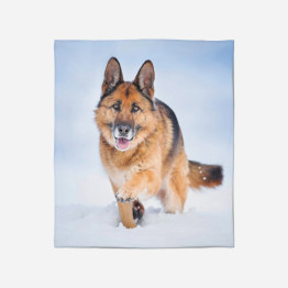 Hřejivá deka - Snow German Shepherd