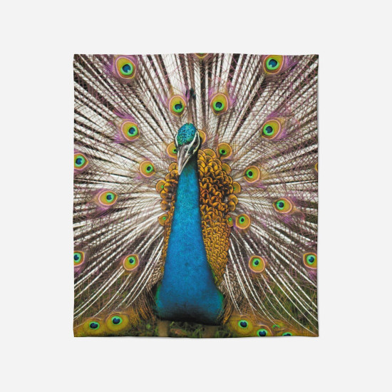 Hebká deka - Peacock