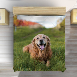 Luxusní přehoz na postel - Golden Retriever