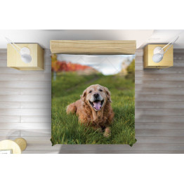 Luxusní přehoz na postel - Golden Retriever