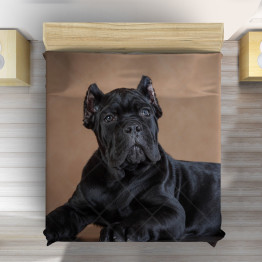 Luxusní přehoz na postel - Cane Corso