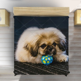 Přehoz přes postel - Pekingese