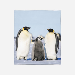 Luxusní deka - Pinguins