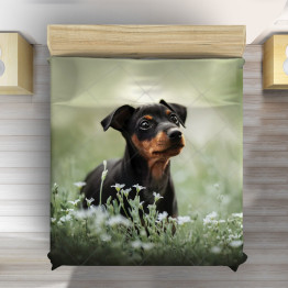 Přehoz přes postel - Pinscher