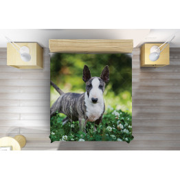 Luxusní přehoz na postel - Bull Terier