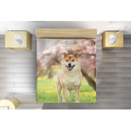 Přehoz na postel - Shiba Inu