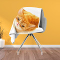 Kvalitni deka - Reddish Cat